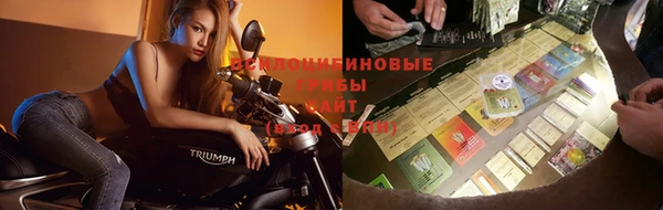 прущие крисы Ростов