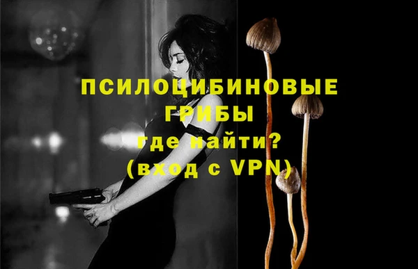 мяу мяу мука Саяногорск