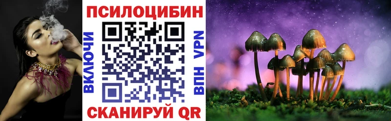 Псилоцибиновые грибы MAGIC MUSHROOMS  где можно купить наркотик  mega tor  Теберда 