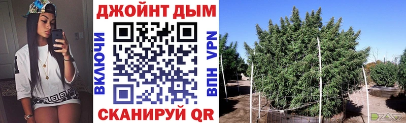 Конопля OG Kush  Теберда 